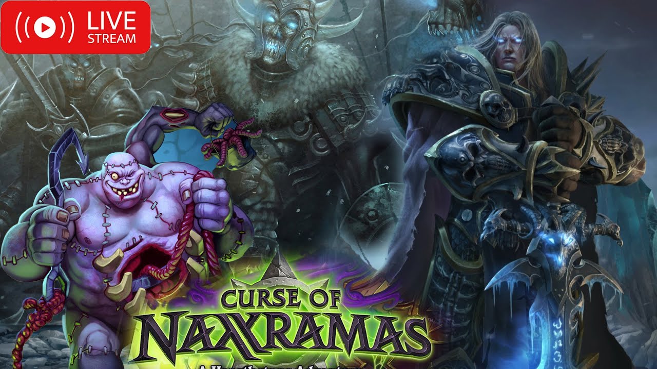 Naxxramas 15/15 Turtle WoW Prot Paladin POV