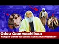 Oduu Gammachiisaa Waltajjii Muslimoota Ethiopia Oduu Gammachiisaa Waltajjii Muslimoota Ethiopia