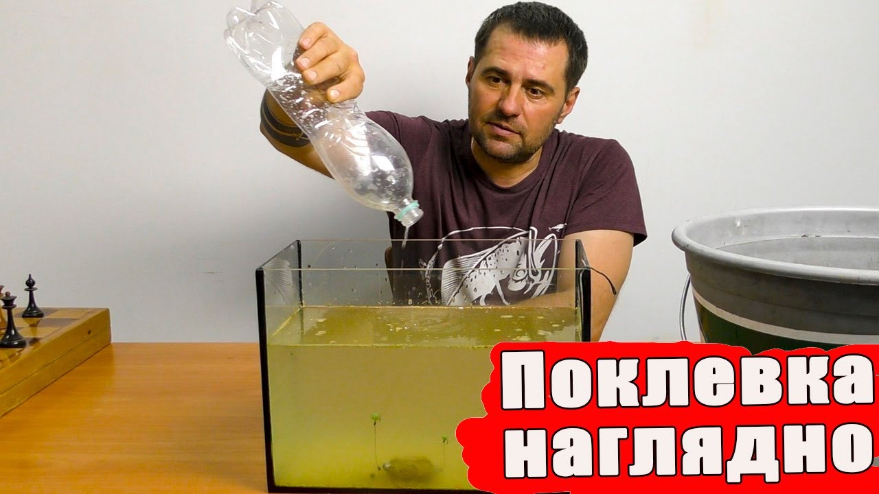 ПОЧЕМУ КАРАСЬ клюет на ПЕНОПЛАСТ, визуализация. Рыболовные секреты / Полная версия.