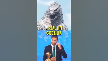 The Real Life Godzilla 😳