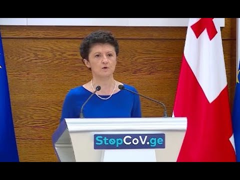 გახარია ჩვენს გუნდს, როგორც პრემიერ-მინისტრი, მიიყვანს არჩევნებში გამარჯვებამდე – წულუკიანი