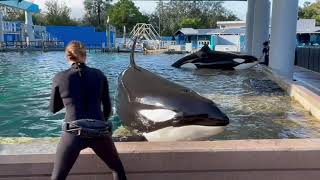 SeaWorld Inside Look | Orca Encounter Backstage Highlights 4K (11-13-20)