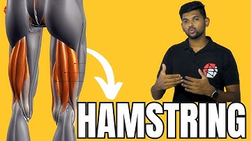 Hamstring muscles: Anatomy and Function | Muscle Knowledge Series