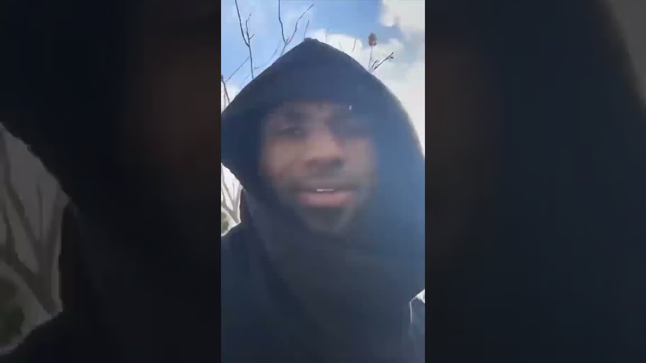 LeBron James Dunked On Me 