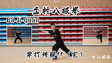 Single Form Tutorial 11【Martial Arts/Kung Fu】Baji Quan Tutorial Session 7 Dan Da: 八极拳教学 动作讲解11