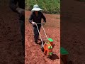 This man planted corn using a very easy and fast glazing tool#trending #shots