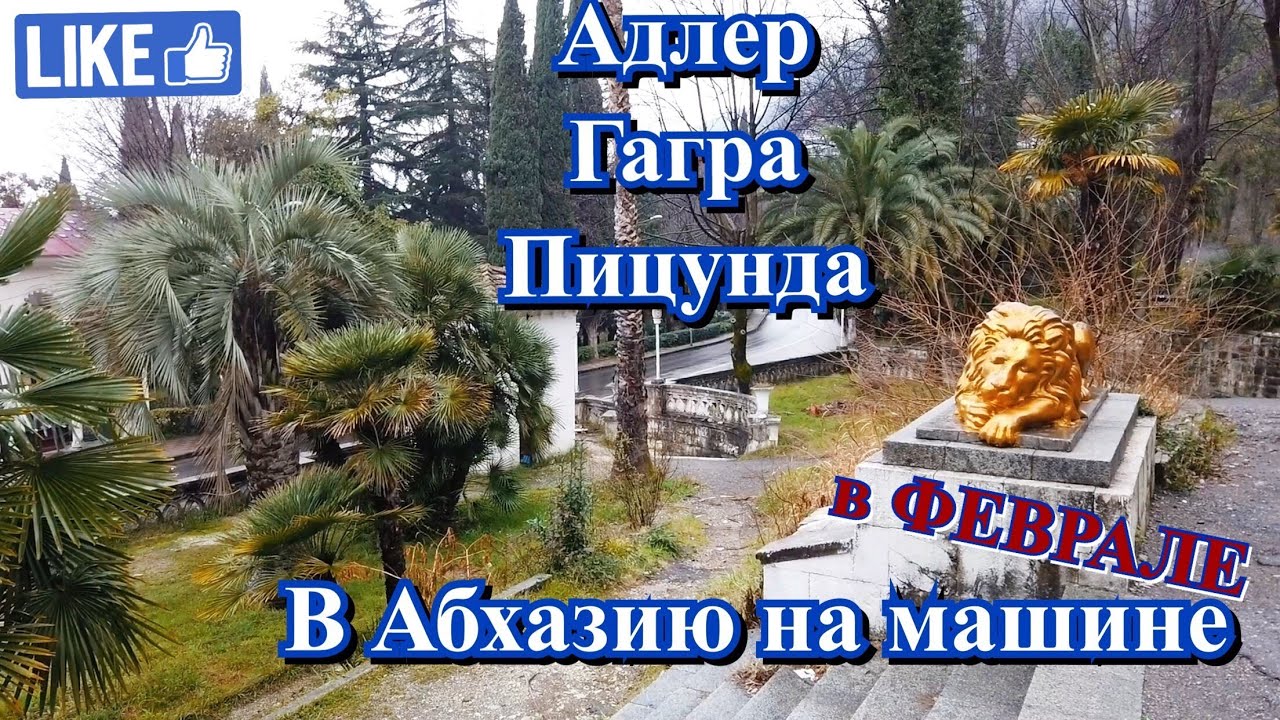 Новокузнецк абхазия на машине