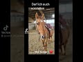 This is me ..... the most beautiful Quarter horse in the whole World. #quarterhorse