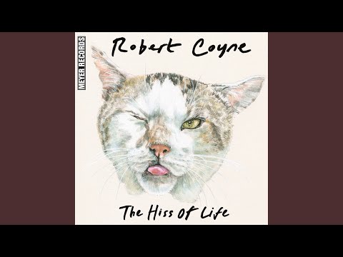 Robert Coyne — Wrong All Along