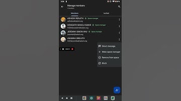 How to make someone a space manager or remove their space manager role in a space in Google chat 😻😽🐱