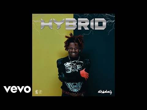 Shoday Joy Official Audio 