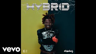 Download Lagu Shoday - Joy (Official Audio) MP3