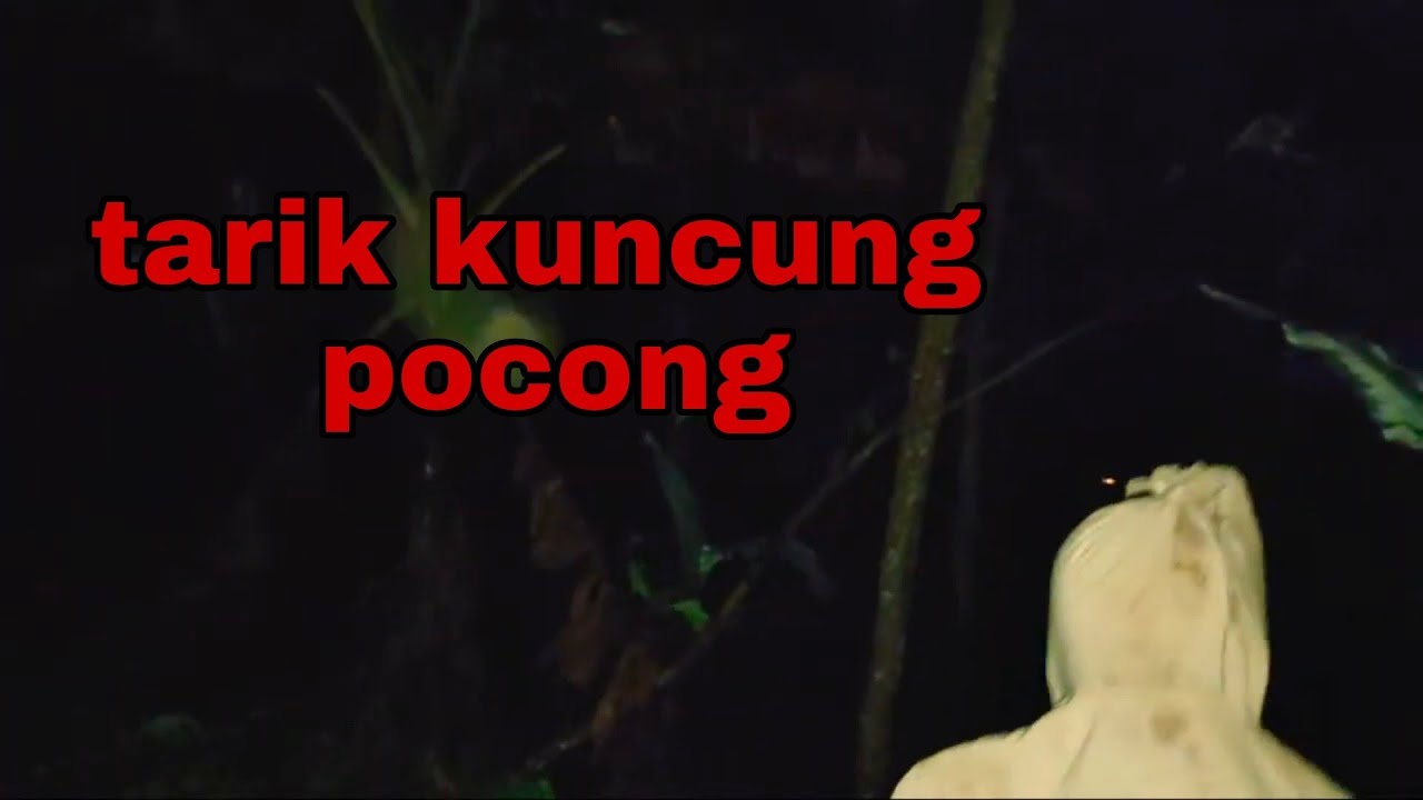 Apakah Ada H4NTU Di Kebun Jeruk YouTube
