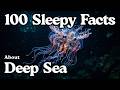 The Most Relaxing Facts About Deep Sea Creatures To Fall Asleep To | Bedtime Stories