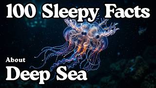 The Most Relaxing Facts About Deep Sea Creatures To Fall Asleep To | Bedtime Stories