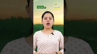 Heatwave Alert: विदर्भात दिवसासह रात्र ही ठरणार उष्ण