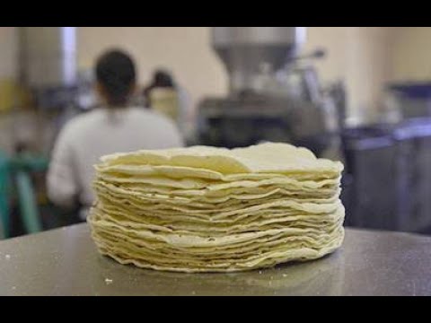 Tortilla hecha a mano en comal resurge con fuerza en el gusto del