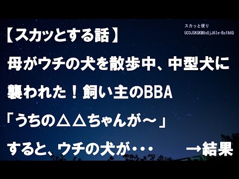 【スカッとする話】母がウチの犬を散歩中、中型犬に襲われた！飼い主のBBA「あら?うちの△△ちゃんが～」→ すると、ウチの犬が･･･　　　→結果ｗｗ