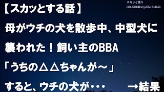 【スカッとする話】母がウチの犬を散歩中、中型犬に襲われた！飼い主のBBA「あら?うちの△△ちゃんが～」→ すると、ウチの犬が･･･　　　→結果ｗｗ