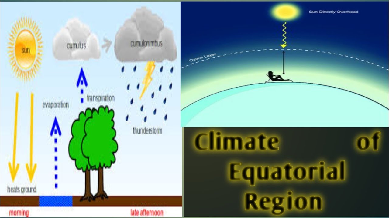 Climate of Equatorial Region| simple Geography, GK, 