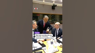 Wat zijn eurobonds en waarom is er gedoe over?