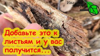 видео: В 100 раз ЛУЧШЕ КОМПОСТА! Из листьев сделайте ЛЕЧЕБНУЮ листовую землю. Вот как надо готовить осенью. картинка: В 100 раз ЛУЧШЕ КОМПОСТА! Из листьев сделайте ЛЕЧЕБНУЮ листовую землю. Вот как надо готовить осенью.