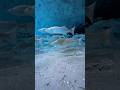 A Quick Morning Dip #dive #dji #water #beautifuldestinations