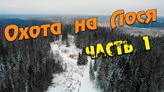 Охота с Иванычем - Часть 1 - Большая удача