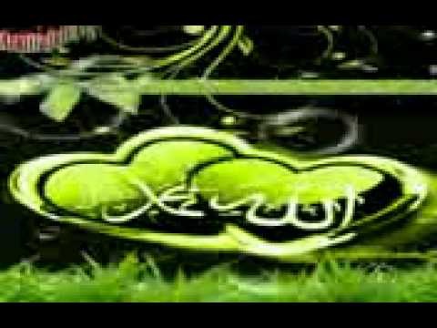 Gema takbiran koplo
