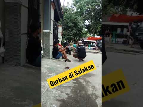 Qurban di Salakan