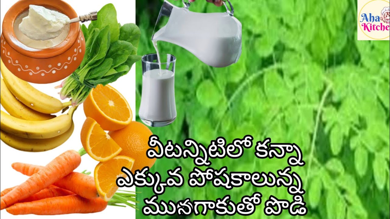 శ్రమ లేకుండా గ్రీన్ కలర్ పోకుండా మునగాకు పొడిని ఎలా చేసుకోవాలో చూడండి//Moringa leaves powder 