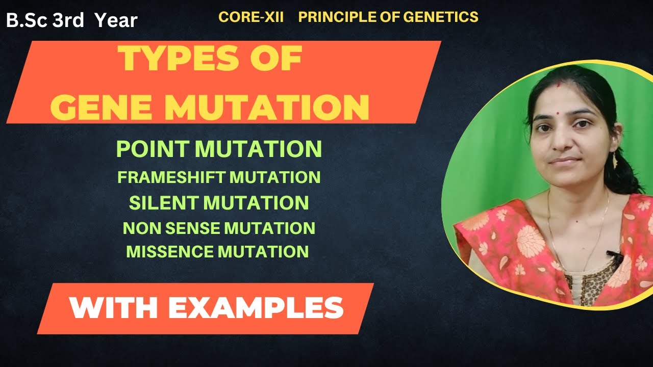 Types Of Gene Mutations (Classification) B.Sc 3rd yearPoint & Frame