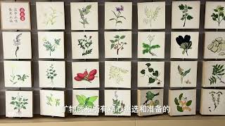 Introduction of TCM , How traditional Chinese medicine plays an important role in our life #tcm