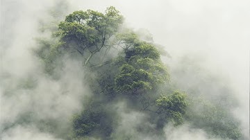 Thumbnail of Max Richter - sleep reconstructed (path theme)