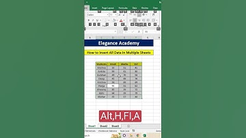 Insert Data in Multiple Sheets #excel #msexcel #shortsvideo #shorts #ytshorts #eleganceacademy #tips