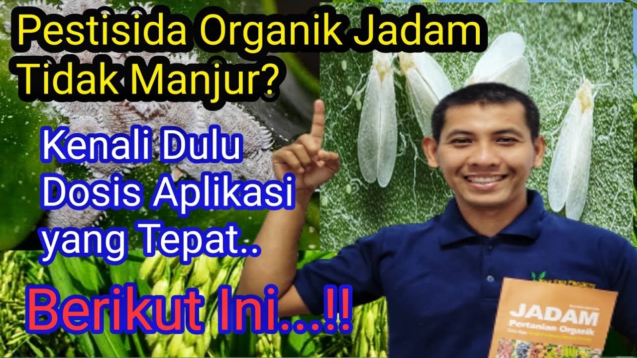 Dosis Aplikasi Pestisida Nabati Serbaguna Ala Jadam yang benar