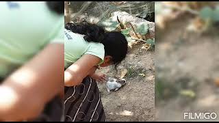 RABBIT EATINGG 😍💋🐇 [Short video ] THe CUZINs!