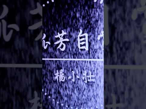 孤芳自赏，，，杨小壮，動熊歌詞，