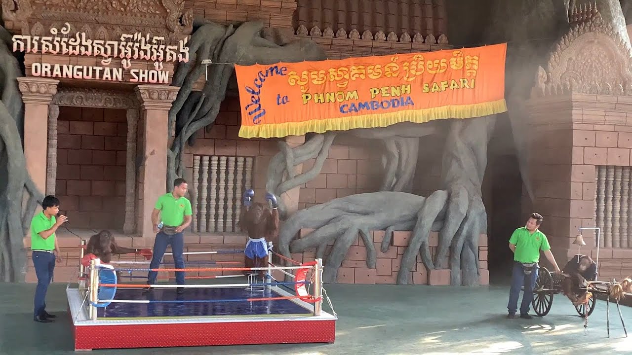 Cambodia Life, Video 174 ​- Monkey Show, Zoo Phnom Penh Safari World | Cambodia 2020