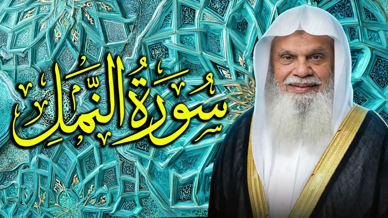 الحكمة ونصر الله للمؤمنين مع سورة النمل ✨ الشيخ علي الحذيفي 027