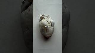 Rare Photos You've Never Seen Before [Part 203