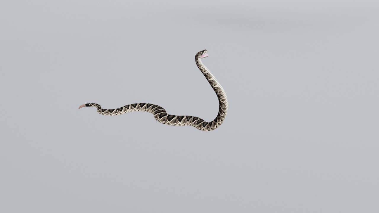 Animated Eastern Diamondback Rattlesnake - Superhive (formerly