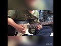 ナイトメア/シアン Guitar solo