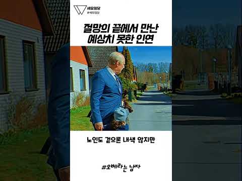 알고 보니 이 할아버지가 매일 아침 꽃을 들고 같은 장소로 향했던 진짜 이유 👨‍🦳💔😢 #오베라는남자 #영화리뷰 #감동영화 #인생영화 #명대사 thumbnail