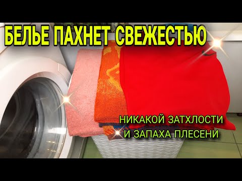 Как убрать запах плесени, сырости и затхлости с одежды, полотенец