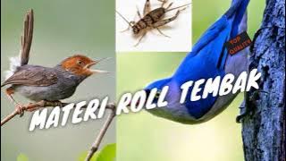 Masteran Roll Tembak - Jangkrik,Prenjak Betina,Rambatan || Audio Jernih @CuniKicau