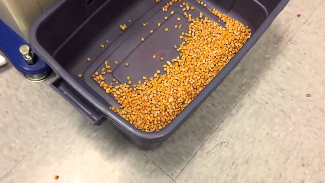 Satake PIKASEN FMS 2000 Обычная лабораторная демонстрация работы