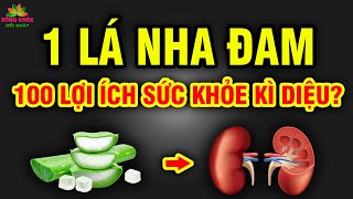 BỎ THUỐC TÂY ĐI cứ dùng LÁ NHA ĐAM liên tục 1 TUẦN sẽ nhận ngay 18 LỢI ÍCH SỨC KHỎE tuyệt vời | SKMN