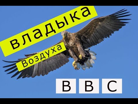 владыка воздуха/BBC