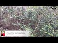 Lots And Land For Sale 5TH STREET CITRONELLE AL 36522 Lots And Land For Sale 5TH STREET CITRONELLE AL 36522